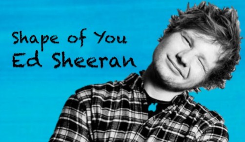 Not Angka Lagu Shape of You Ed Sheeran